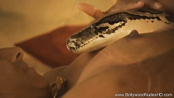 Venomous Vixen’s Forbidden Serpent Awakening
