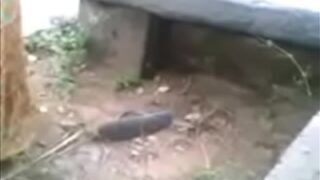Filthy Desi Outdoor Fuck: A Married Slut Gets Pounded By Her Secret Lover